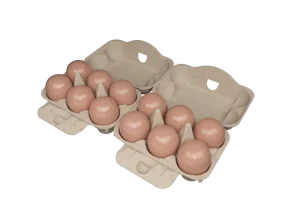 6+6-EGG BOX